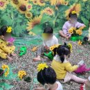 포곡어린이집 이미지