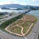 완도13호 이미지