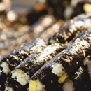 김밥옆구리