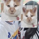 e편한PC방 이미지