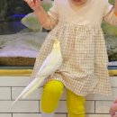 플레이 샌드