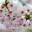 4월 23일 (일) 13시부터~ 중앙모임에 사랑하는 회원님들을 영등포 금마차콜라텍으로 초대합니다. 이미지