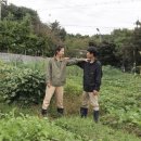 재미농장 이미지