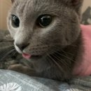 옥포태양동물병원 이미지