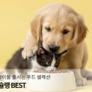 와우펫마트 | 2026년 우리 강아지 맞춤! 반려동물용품 (사료, 간식, 영양제) 실패 없는 구매 가이드