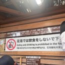 천신여행사 | 가족여행 3일차 : 내돈내산 소소버스일일투어 후기 (후쿠오카-유후인-유노하나-벳부 가마도지옥온천...