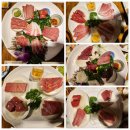 분당 정자역 잘 나오는 참치 무한리필 대진도원참치, 닷사이 23 술맛 후기