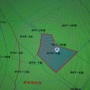 금강송행정사사무소 이미지