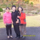 홍천초등학교 Daum카페