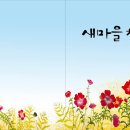 채송화 / 물님(용담 새마을 채송화 축제 테마시) 이미지