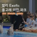 해양마린 | 발리 돌고래체험 추천! 이그소틱 마린 파크 해양 액티비티 완벽 후기