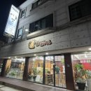 미뇽캣 이미지