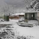 안법초등학교 이미지