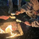 누리D&B | 세종 풍성채캠핑장 B사이트 후기