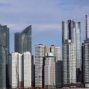 우후죽순 이미지