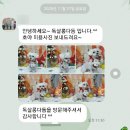 독살롱 다듬 이미지