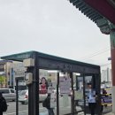 대왕곰장어 이미지