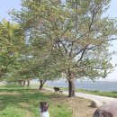 낙동강체육공원 축구장 화장실 이미지