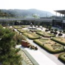 신구대학식물원 이미지