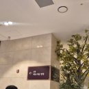 대도교통(주) | [유부👰🤵] 그리너리 한 완벽 육각형 웨딩홀 | 마곡 더베뉴지 4개 홀 투어 후기