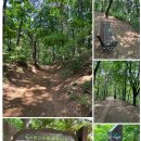 서봉산 산림욕장 1 이미지