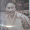 햇빛여행사 이미지