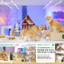 골드 캐터리 이미지