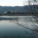 임내저수지 이미지