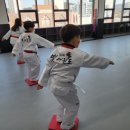 동아대 빛 태권도 이미지