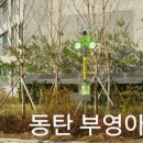 마디도시개발