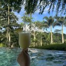 파드마투어 이미지