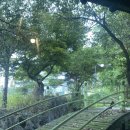 600흑돈송천점 이미지