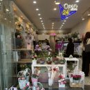 카키플라워수원