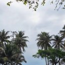 OK당구장 | 나트랑 호텔 추천 쉐라톤 나트랑 뷔페 객실 나트랑 시내 숙소 장단점