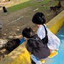 가야랜드 이미지