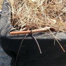 푸르매농장 이미지