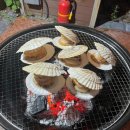 태안 머드캠프 펜션 이미지