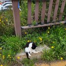 오륙도수산 | 가족과 같이 간 부산 여행 후기(1)