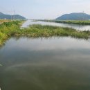 뉴욕꽈배기강화전등사점
