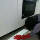 제일크린 이미지