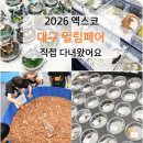 다윤푸드 | 2026 대구 밀림페어 엑스코 파충류 박람회 아기와 다녀왔어요