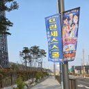 문화예술회관 소공연장 | 4살아이와 첫 어린이뮤지컬 관람! 프린세스스쿨 내돈내산 후기