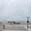 위드미 기장동부점 | 부산 티니핑 콜라보 후기 🎠 공연·사진·기차까지 아이랑 대만족!
