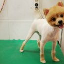 아마존 동물병원 이미지