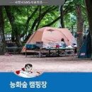 사천 능화숲 당일치기 물놀이 하기 좋은곳 이미지