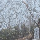 와룡마을 | 제 7회 장수트레일레이스 참가후기