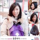 신서귀로 Daum카페