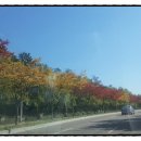 두실농장 이미지