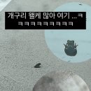 스테이13월 E 이미지