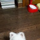 무진장공인중개사사무소 이미지